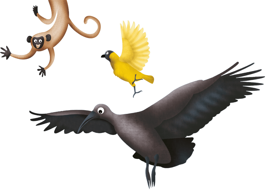 A brown hadeda, a yellow bird and a brown monkey swining in the air.