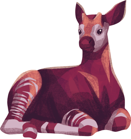 Kiki the Okapi illustrated on a blue background